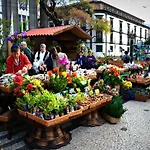 In 2n * Funchal (Madeira)