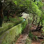 In 2n * Funchal (Madeira)