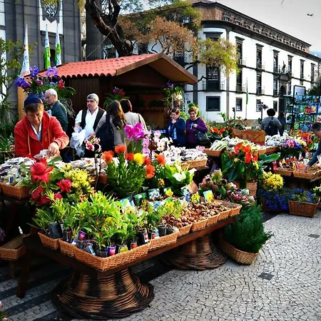 In 2n * Funchal (Madeira)