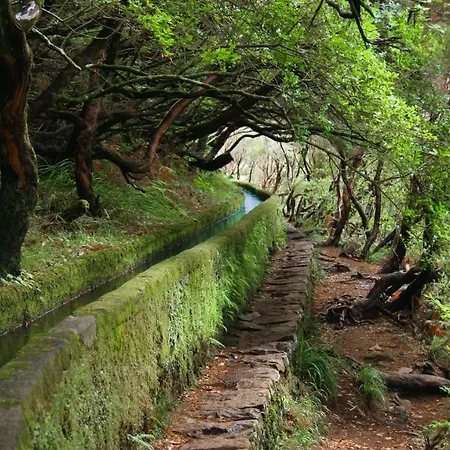 In 2n * Funchal (Madeira)